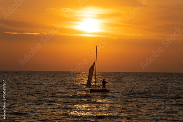 Obraz green road italy Stone pine