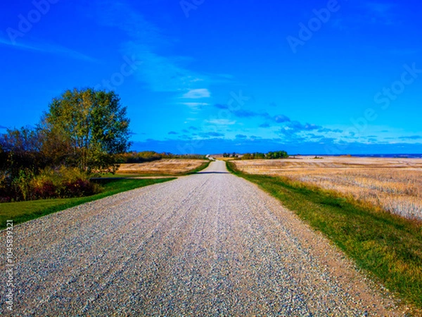 Obraz Prairie Road