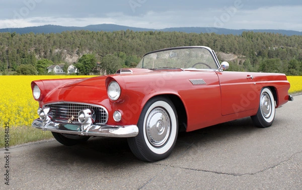 Obraz Ford Thunderbird 1956. All logos removed.