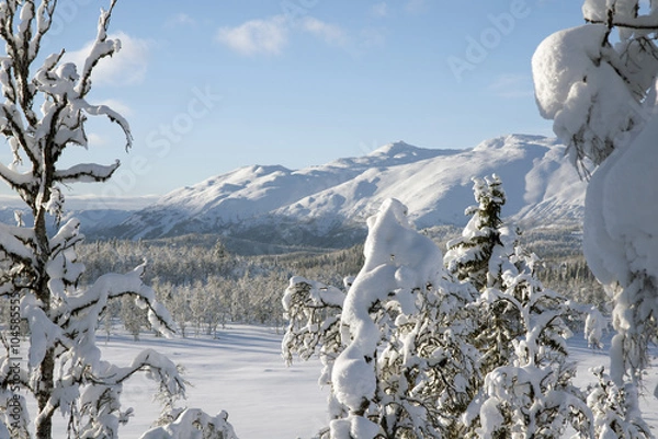 Obraz Mountains in winter landscape