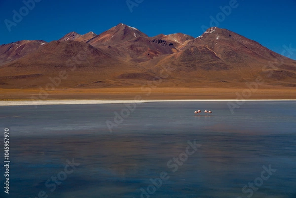 Obraz lake in the mountains