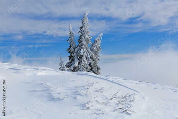 Obraz Tree on the snow and clouds