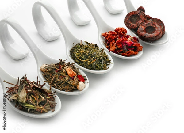 Fototapeta Different sorts of dry tea in ceramic spoons, isolated on white