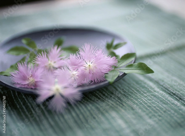 Obraz 撫子のフラワーアレンジメント