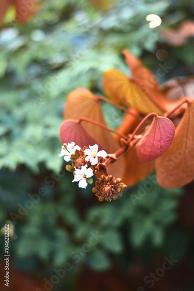 Obraz Gold leaf Bauhinia with green leaves background vertical version.