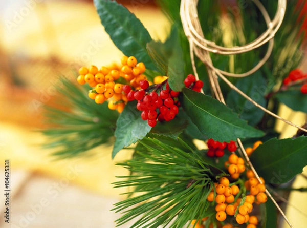 Obraz 千両の正月飾り