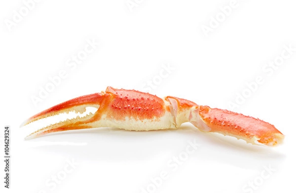 Obraz Boiled crab claws isolated on white background