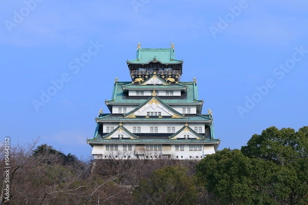 Fototapeta 大阪城