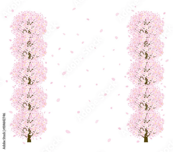 Fototapeta 桜並木　縦