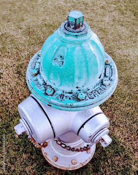 Obraz hydrant