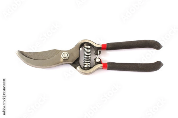 Obraz Gardening  Secateurs