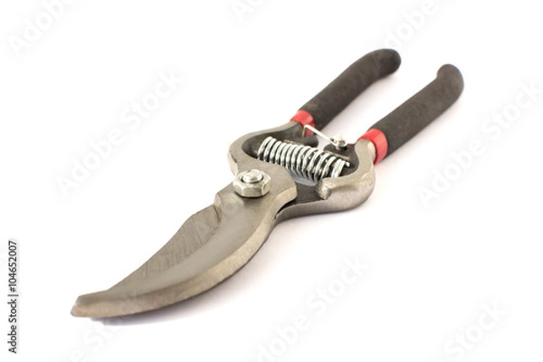 Obraz Gardening  Secateurs