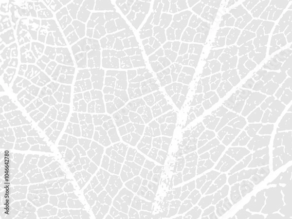 Fototapeta Leaf Raw, Organic Texture  Vector Background 