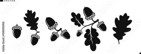 Fototapeta Oak branch with acorns silhouette. Vintage style vector. Oak tree vector. Isolated acorns with leaves 