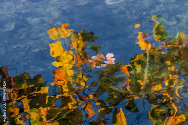 Obraz Autumn leaves reflection on a lake surface