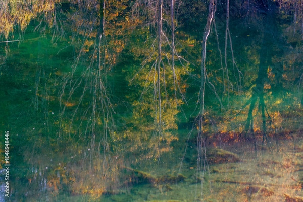 Obraz Autumn forest reflection in the water