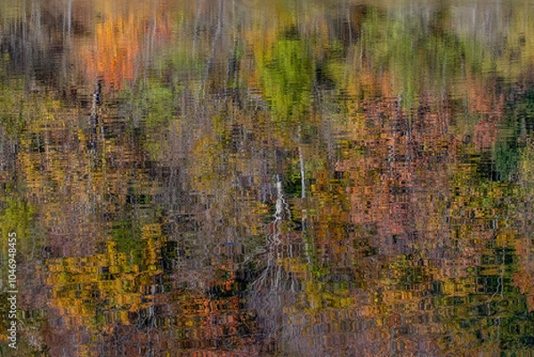Obraz Autumn forest reflection in lake surface