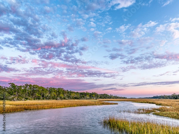 Obraz Creek Through the Salt Marsh