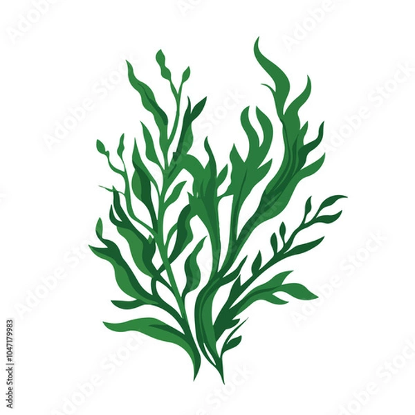 Obraz Professional Seaweed Vector Logo Design Template with Vector Illustration