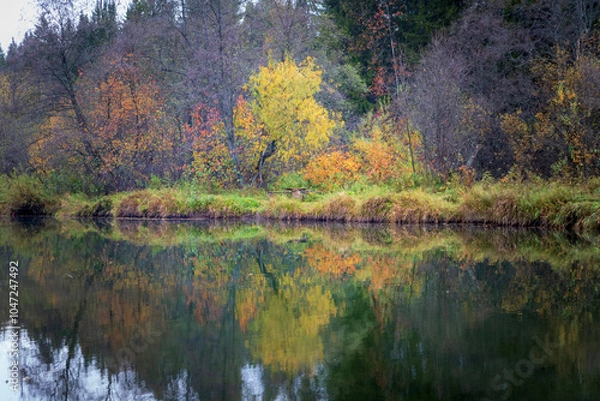 Fototapeta autumn trees reflected in water