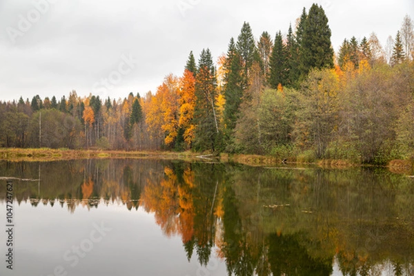 Obraz autumn trees reflected in water