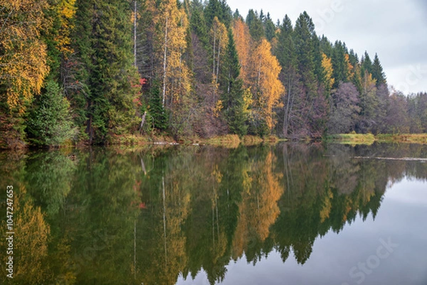 Obraz autumn trees reflected in water