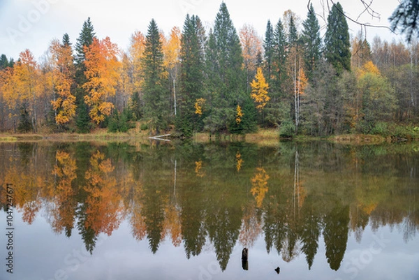 Obraz autumn trees reflected in water