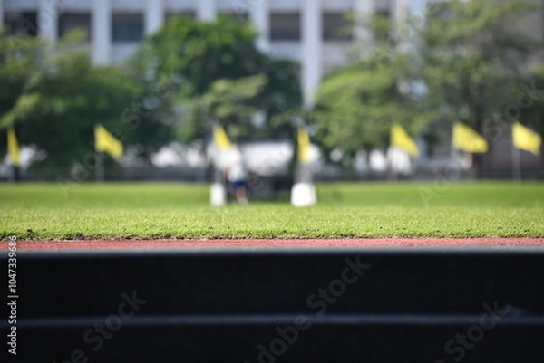 Obraz green grasses field in stadium
