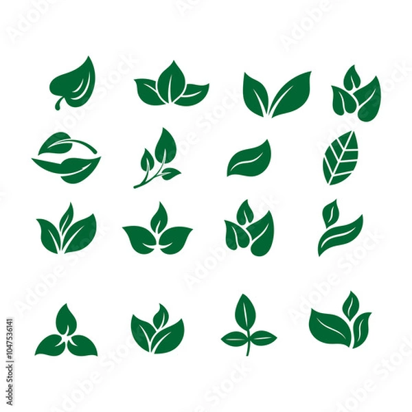 Fototapeta a collection of green leaves and leaves with the word  leaf  on them.