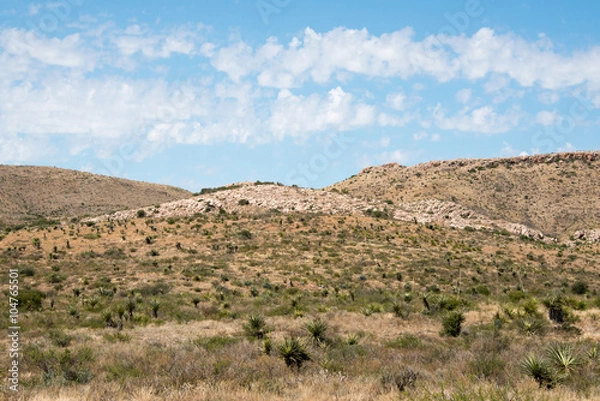 Fototapeta Los Caballos