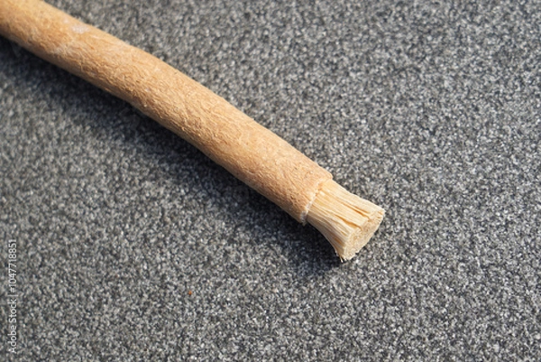 Obraz Old islamic traditional natural toothbrush Miswak or Siwak. (Salvadora persica) was used by the Babylonians some 7000 years ago and Greek, Roman empires, and also by ancient Egyptians and Muslims.