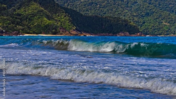 Obraz Wave breaking in the blue sea of ​​Trindade, in the background the slopes of the Serra do Mar, covered by the Atlantic forest.