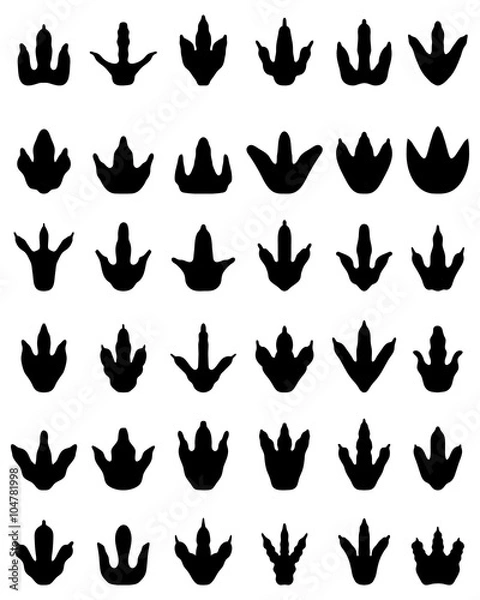 Fototapeta Black footprints of dinosaurs on a white background, vector