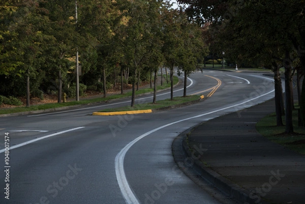 Obraz Empty curved residential street in Redmond in twilight colors in late October