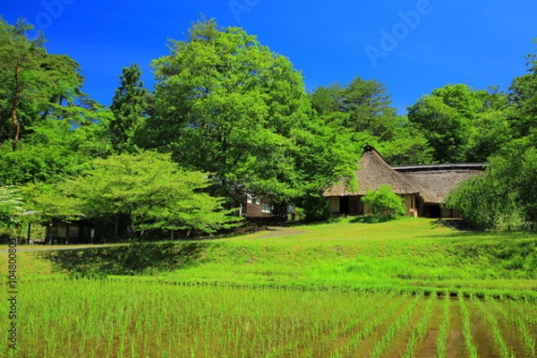 Fototapeta 北上市　みちのく民族村