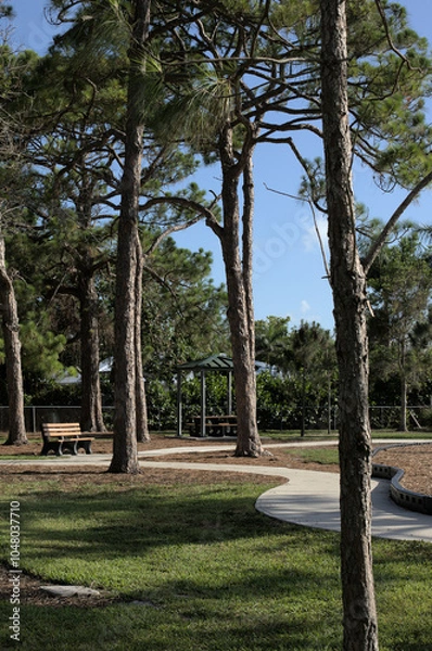 Obraz trees in the park