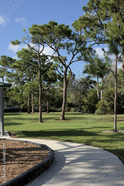 Obraz path in the park