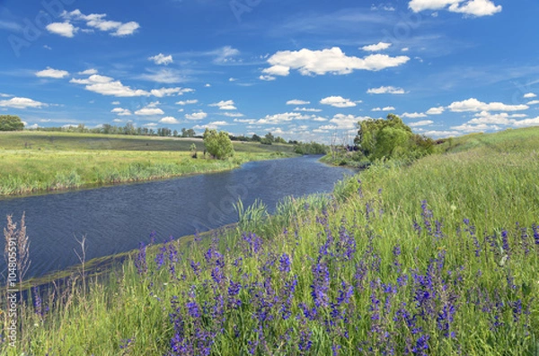 Fototapeta Summer landscape with river