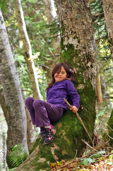 Fototapeta pause en forêt