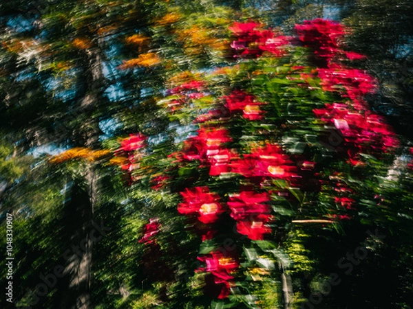 Fototapeta red and yellow flowers with motion blur