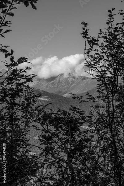 Obraz Presanella Mountain 3558m
