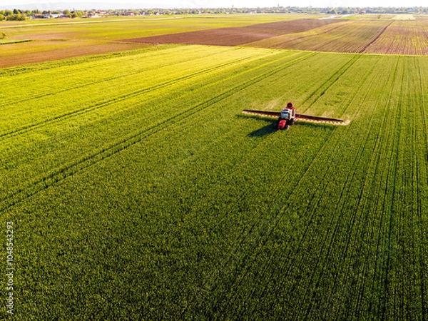 Fototapeta Drone shot of a tractor with sprayer in action on a vibrant green wheat farmland