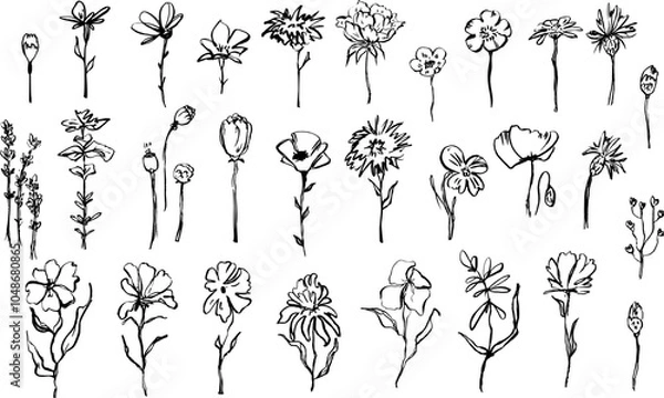 Fototapeta abstract hand drawn ink meadow wildflowers in black color collection