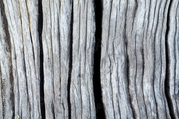 Obraz wood texture
