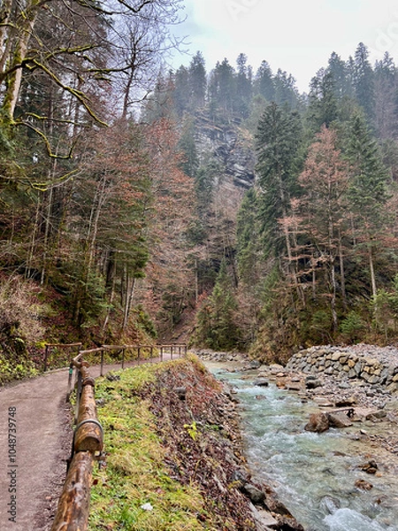 Fototapeta A scenic walkway follows the clear river through a lush forest, leading to the Partnachklamm Gorge in Garmisch-Partenkirchen, Germany, creating a serene and immersive nature trail.
