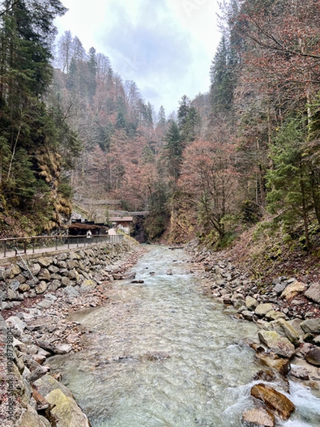 Fototapeta The Partnach River flows serenely through the forest near the entrance to Partnachklamm Gorge, surrounded by lush trees and alpine beauty in Garmisch-Partenkirchen, Germany.