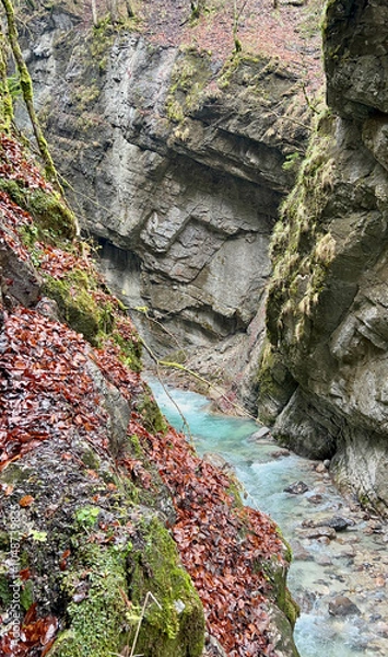 Fototapeta A walkway winds through Partnach Gorge alongside a clear blue, rushing river, with vibrant red leaves scattered along the ground, creating a stunning autumn alpine scene.