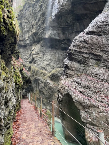 Fototapeta A narrow pathway winds through Partnach Gorge beside a clear blue, rushing stream, with red leaves scattered on the ground, creating a dramatic autumn landscape in Bavaria.