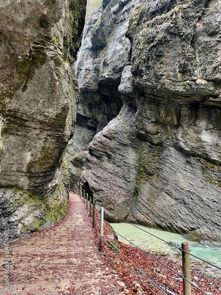 Fototapeta A narrow pathway winds through Partnach Gorge beside a clear blue, rushing stream, with red leaves scattered on the ground, creating a dramatic autumn landscape in Bavaria.