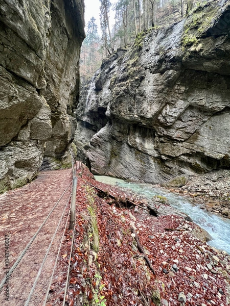 Fototapeta A narrow pathway winds through Partnach Gorge beside a clear blue, rushing stream, with red leaves scattered on the ground, creating a dramatic autumn landscape in Bavaria.